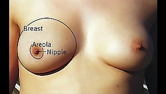 Compilation Of Different Types Of Big Natural Tits