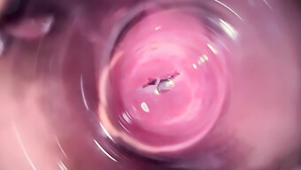 Close-Up Of Mia'S Tight Vagina With Internal Camera